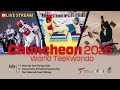 Jul 9 Bronze Medal Contests Finals Chuncheon 2025 World Taekwondo World Cup Team Championships Jul 9 Bronze Medal Contests Finals Chuncheon 2025 World Taekwondo World Cup Team Championships