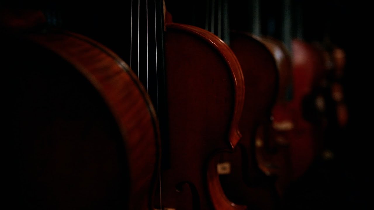 Behind the Creatives: Violinmaker