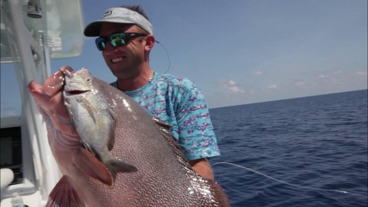 Joes kitty mitchell grouper youtube