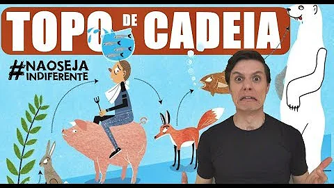 Que tipo de consumidor e o homem?