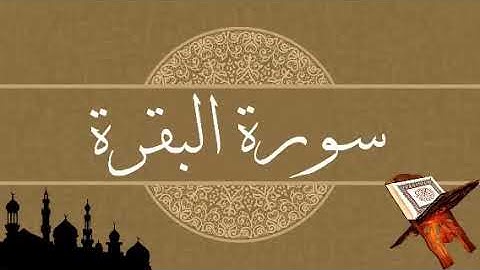 سورة البقرة كاملة للقارئ بيشةوا قادر الكردي  بدون إعلانات Surat albaqara