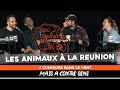 Les animaux  la runion  seb mellia