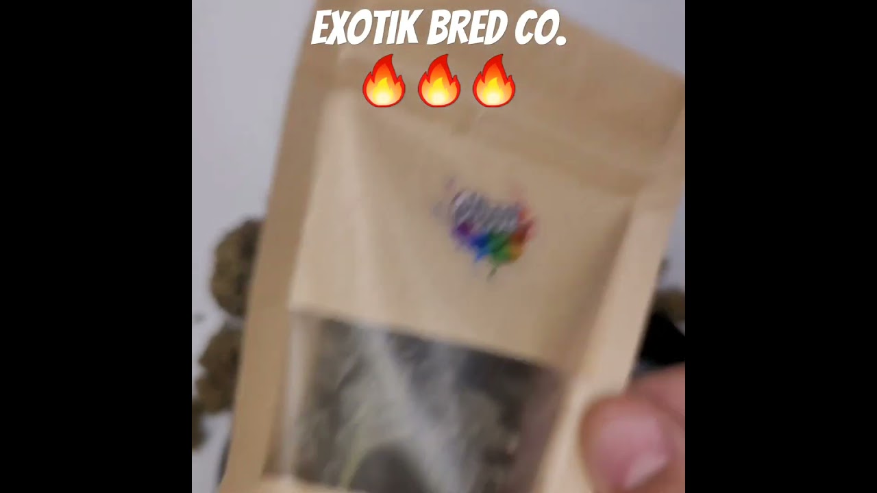 Exotik Bred Co. 🔥🔥🔥