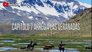 Arrieros Laguna del Maule arreo de vacas al puesto de palacio en lo alto de la cordillera