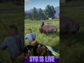 American Bison Hunt in RDR2! 🦬 #Shorts