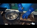 プリプリ濃厚極上生牡蠣！殻付き牡蠣の剥き方。三陸宮城県産
