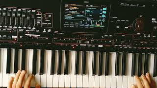 Martina Style - For Soul Instrumental ( Danekoo1 & Korg Style Pa4X ) 2024