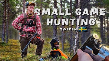 Small Game Hunting: The Hunt for the Elusive Capercaillie
