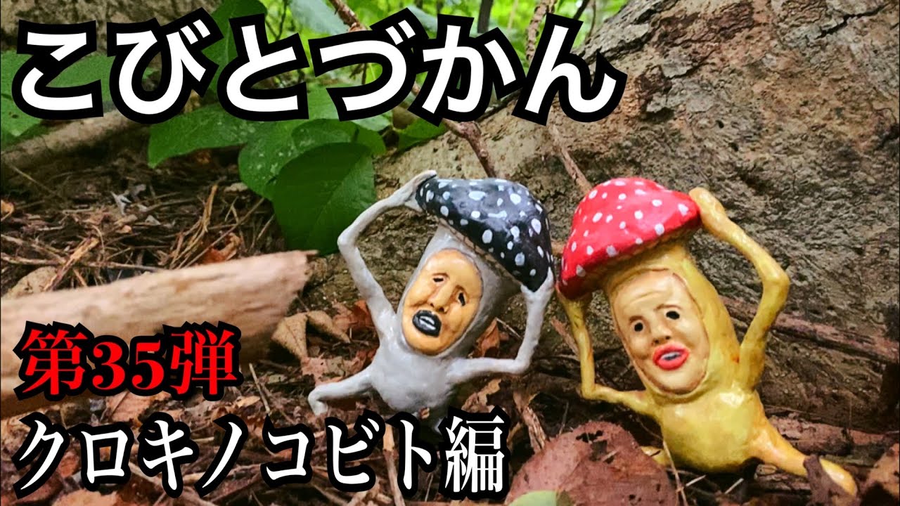 こびとづかん クロキノコビト見つけるまで帰れま10 Youtube こびとづかん クロキノコビト見つけるまで帰れま10 Youtube