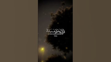 راحة نفسية 💛 هادئه عبد الرحمن مسعد 💕 قران كريم