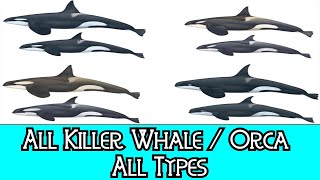 All Killer Whale / Orca  All Types
