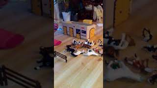 Vi Leket Med Sleis Hester