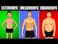 As vantagens e desvantagens de cada biotipo ectomorfo endomorfo e mesomorfo  corpo hipertrofiado