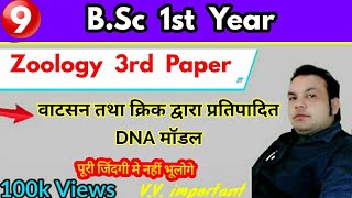 वाटसन तथा क्रिक द्वारा प्रतिपादित DNA मॉडल, BSc 1st year, Zoology 3rd paper, Paper Hacker