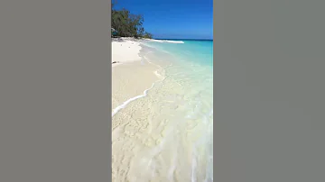 Sand between my toes and the waves lapping against my feet, another perfect day on Wilson Island!