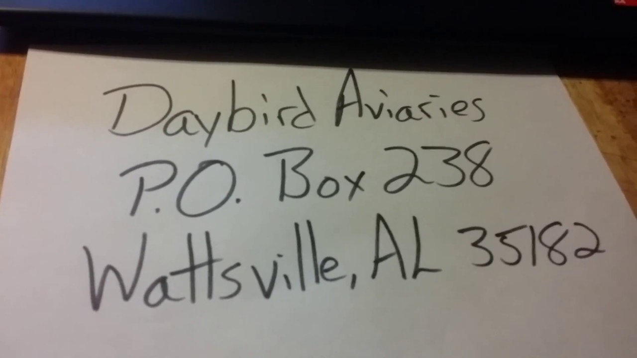 merry christmas brown If you would like to send a Christmas Card - Daybird Aviaries PO Box 238 Wattsville, AL 35182