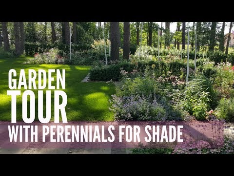 Garden Tour With Ansis Birznieks Perennials In Shade Youtube