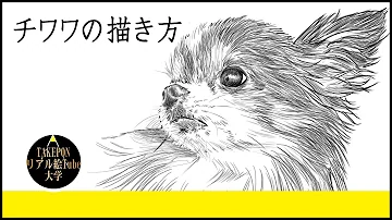 動物の描き方 柴犬のリアルなイラストが誰でも簡単に上手くなる方法ー中学校の美術で使える動物スケッチの書き方のコツ Mp3