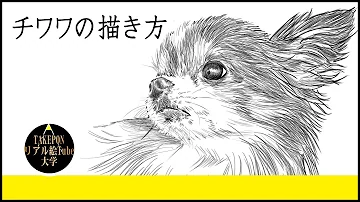 リアルな犬の描き方簡単