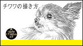 犬のイラスト 簡単 可愛い チワワの描き方 Stayhome And Draw Withme Youtube
