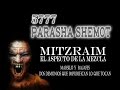 #13. Parashá Shemot 5777: El exilio Egipcio: El aspecto de la mezcla