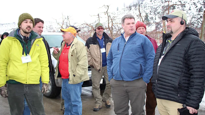 Auvil Fruit Implements Four-Wire Trellis System-FG...
