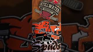 My hockey pins