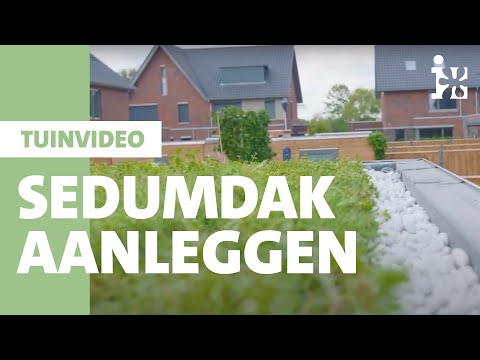 Video: Swart Dak, Groen Dak