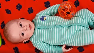 8 Week Old Baby Playing with Rattle Ball Toy