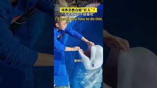 Beluga tricks to terrify then cheer??白鲸遭遇惊吓人类幼崽滑铁卢！