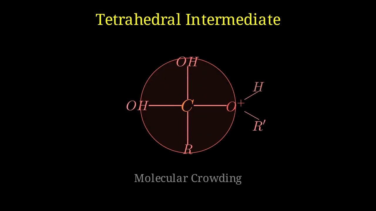 12th Chemistry Esterification Reaction Mechanism.