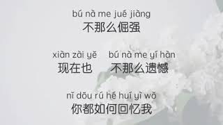 Video thumbnail of "Hou Lai 后来   Liu Ruo Ying 刘若英 Lyric & Pinyin"