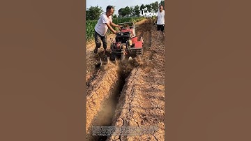 Farming for beginners: a simple guide to field farming