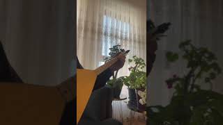 Saçlarını Taramışsın Sarı Renge Boyamışsın