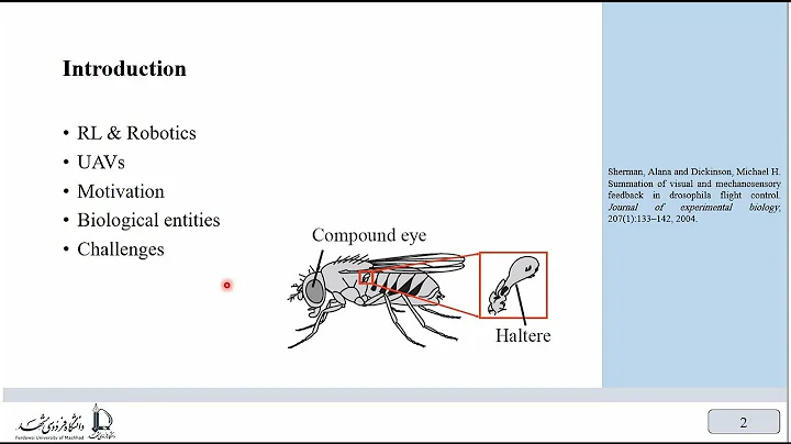 ICCKE 2021 - Vision-Based Obstacle Avoidance in Drone Navigation using Deep Reinforcement Learning