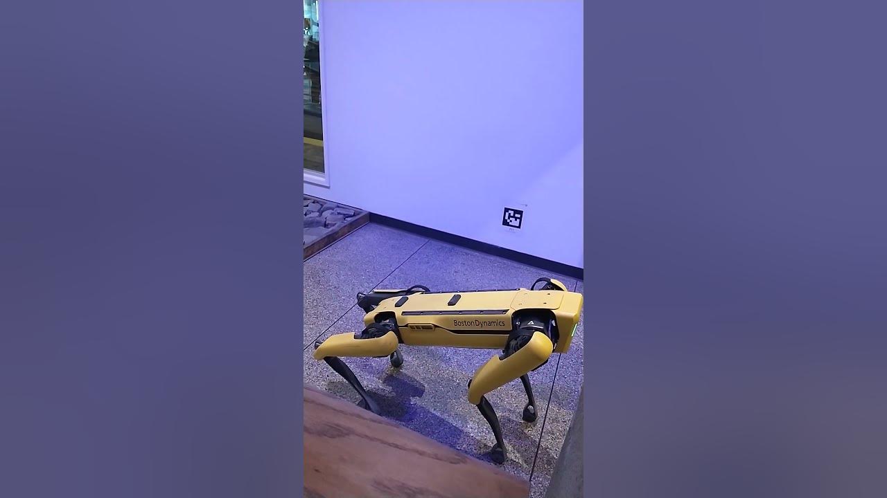 Boston Dynamics Dog Robots at the Museum of Science 2023 YouTube