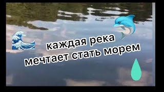 КЛИП:каждая река мечтает стать морем!!!![LISENOK]