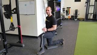 Quadruped Pulldown