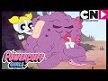 Viviente | Las Chicas Superpoderosas | Cartoon Network