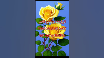 #قران_كريم #سورة_النساء : أَلَمْ تَرَ إِلَى الَّذِينَ قِيلَ لَهُمْ كُفُّوا أَيْدِيَكُمْ وَأَقِيمُوا