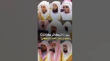 تلاوة مشتركة لـ سورة التكاثر كاملة || بصوت أئمة الحرم المكي #أئمة_الحرم_المكي  🕋❤️..