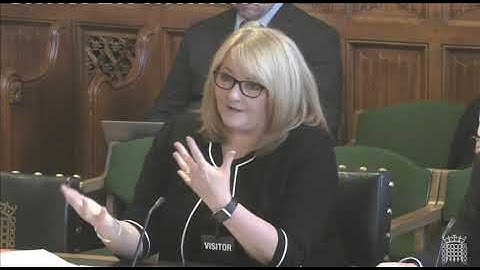 Arlene Sugden Director of the Child Maintenance Service squirming