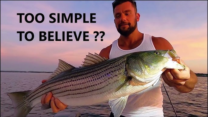 How to catch Stripers with a very simple rig that makes a HUGE