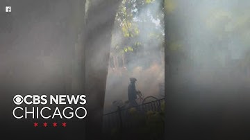 Federal agents drop tear gas on residential street in Lakeview, Chicago