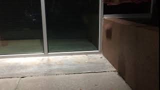 Falling Brick Reference 2 Net Worth