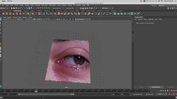Rendering in Maya: color, pictures, video, light, shadow, background