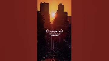 Surah Ar-Rum || Yaseer Al Dosari || سورة الروم || ياسر الدوسري 🎧💚 #yaseraldoseri #viral
