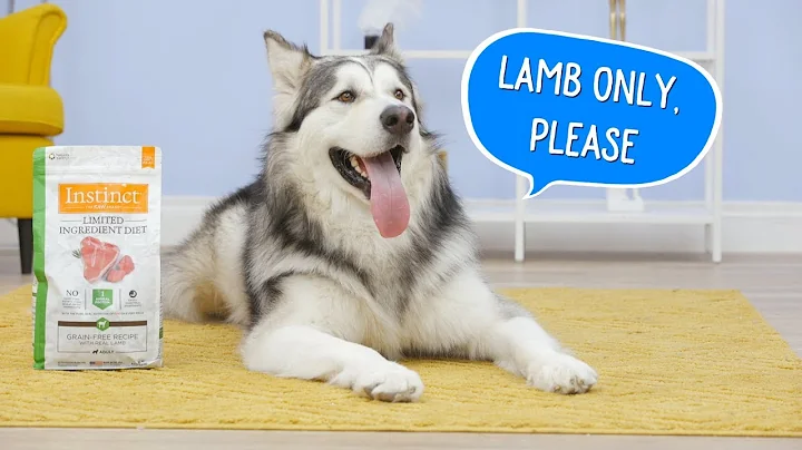 Instinct Limited Ingredient Diet Dog Food | Chewy