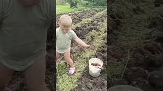 Раннее развитие. Навыки доступные в 2 года и 5 месяцев #дети #раннееразвитие #буднисмалышом