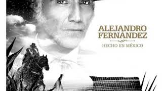 Alejandro Fernández - Te Olvidé